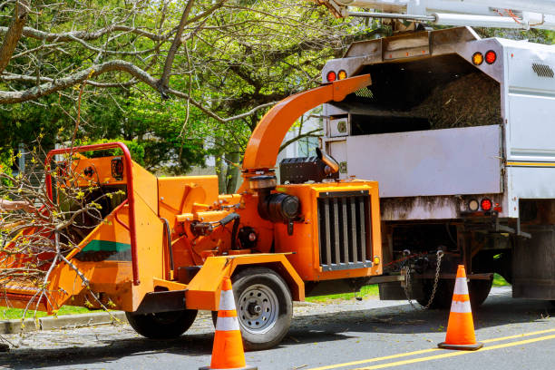 Best Utility Line Clearance  in Union Park, FL